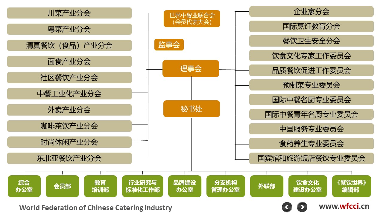 分支机构树形图.jpg