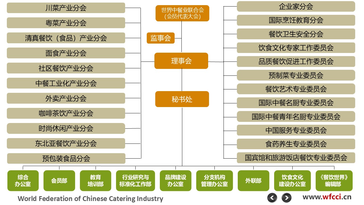 分支机构树形图.jpg